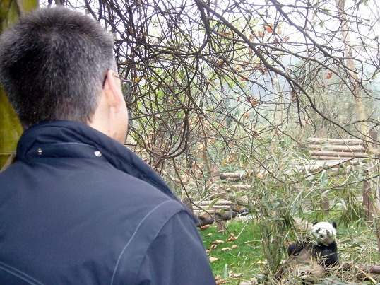 2010 Beijing Zoo北京动物园