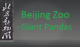 2010 Beijing Zoo北京动物园