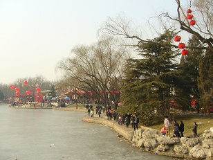 Happy Chinese New Year!新年好