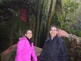 Bamboo Sea, Chengdu 蜀南竹海 