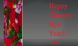Chinese New Year 2011