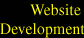website development