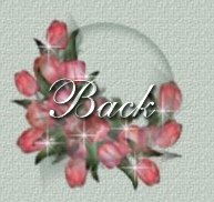 Go to My Wish For You