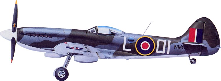 Spitfire FR. Mk XIVE - August 1945 - based with thanks on an illustration in Daniel J. March 'British Warplanes of World War II' (Grange Books 2000)