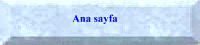 ANA SAYFA