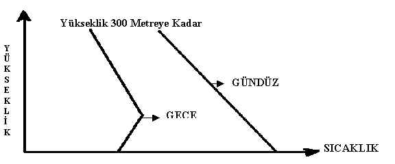 wpe10.jpg (11067 bytes)