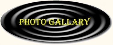 Photo Gallary
