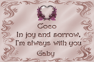 With Love, Gaby