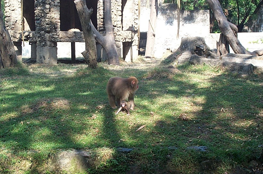 zoo04.jpg