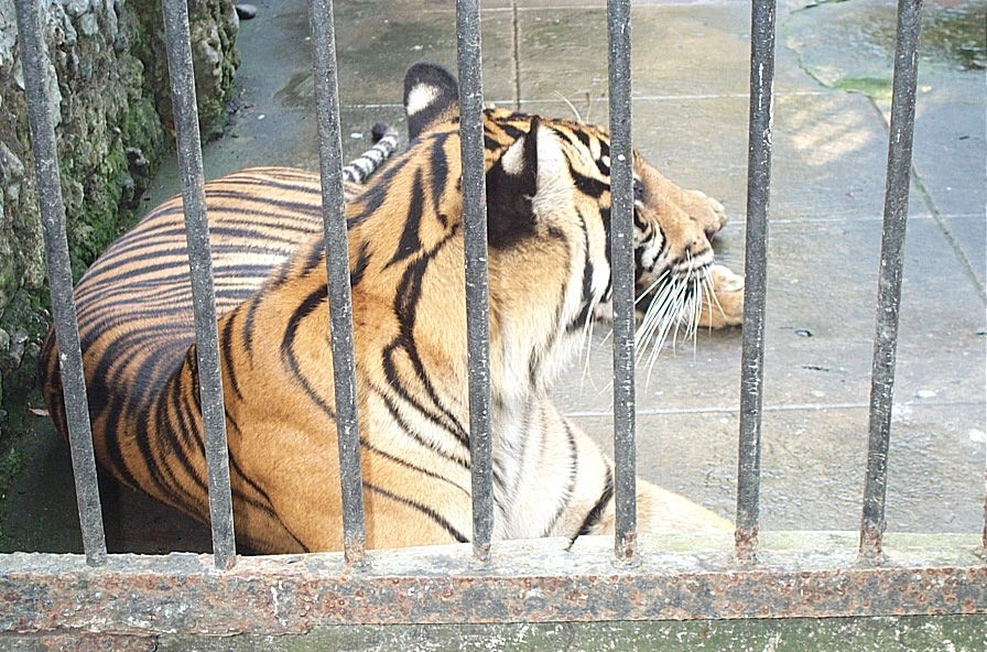 zoo09.jpg