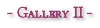 Gallery II