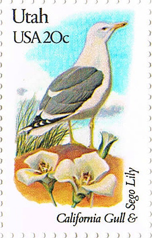 Postal Stamp, California Gull