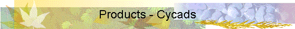 Products - Cycads