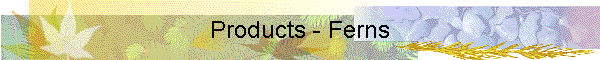 Products - Ferns