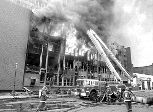 image149.gif (73853 bytes)