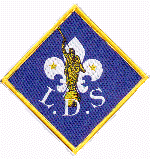 Diamond LDS Patch