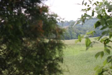 FRONT FIELD FROM ROAD 2