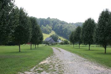 VIEW FROM FRONT PORCH