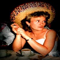 My Lancashire Rose Jacqueline