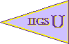 The IIGSU Logo