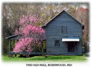 Bushwood Mill