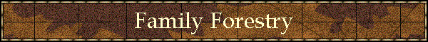 Family Forestry