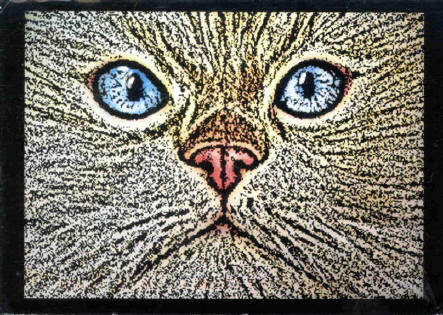 Local Artists Lorrie Baldwin-Artist Reception: Sunday, September 8TH, 2002 1-4pm