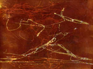 Cave Animal by Lorrie Fredette from Language of Vision Group Show at March 2001 Art Exibit at the Watchung Arts Center