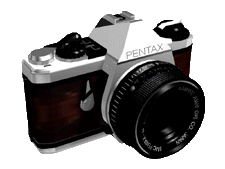 cameran.gif (1666 bytes)