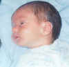 baby_11_514.jpg (36093 bytes)