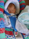 baby_1.jpg (75638 bytes)