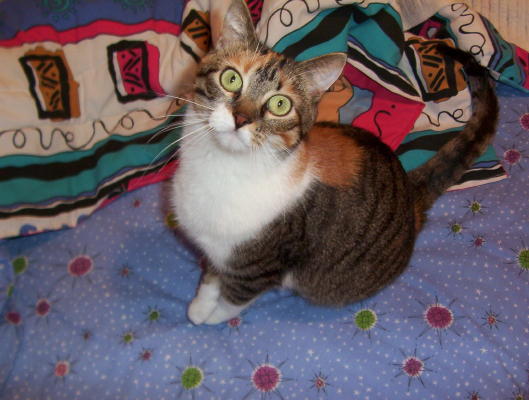 The one and only Teufel!!!