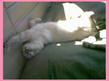 When she's not eatting...getting in trouble...she's...