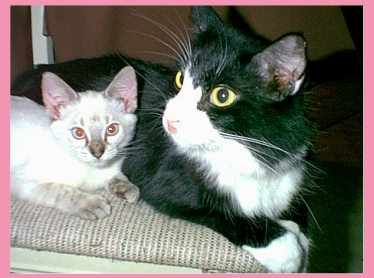 Baby Lucky and buddy Trey