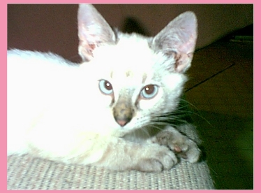  Sweet -n- Inocent...NOT! (Baby Lucky)