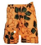 orangeshorts.jpg