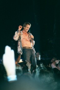 A black dog; Actual size=240 pixels wide