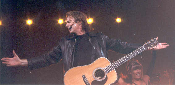 A cat; Actual size=240 pixels wide