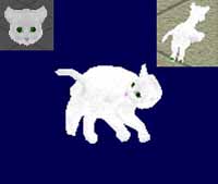 Shamrock pawprints! too cute!