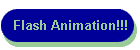 Flash Animation!!!