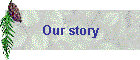 Our story