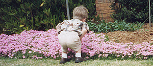 Just stopped to smell the flowers