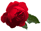 rose.gif