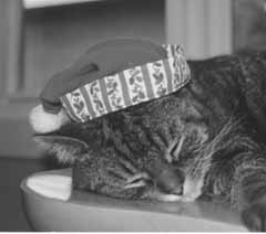 ZZzZzZzz... c'est long d'attendre Nol...