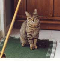 Ne suis-je pas adorable ?