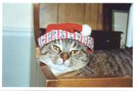 Moi aussi j'attends Noël !