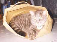 Je suis dans ma maison !