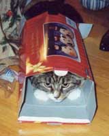 Et Hop! Dans la bo�te!