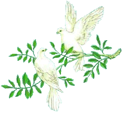 Doves