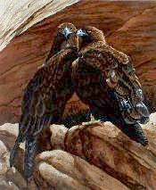 Keepers of Earth Medicine